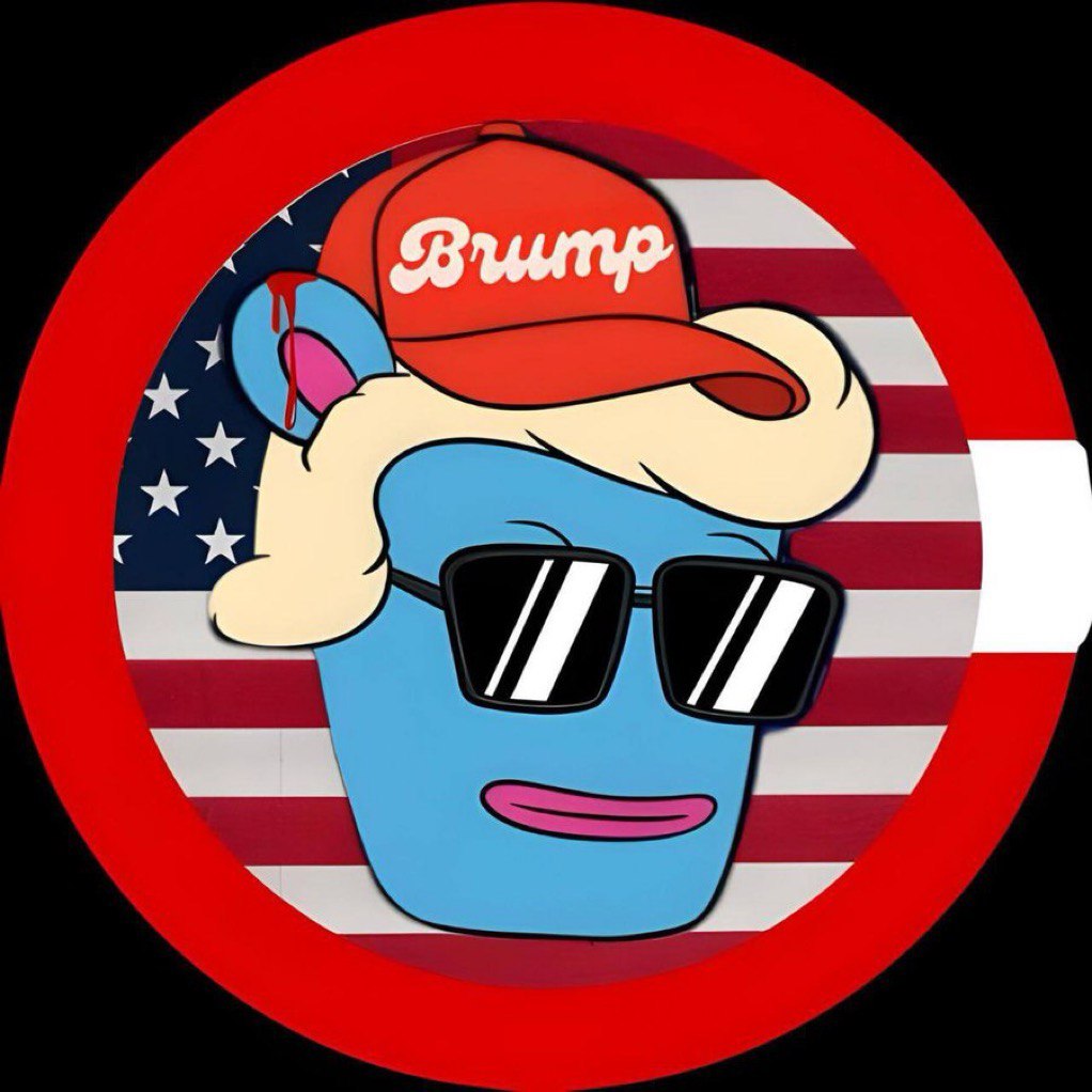 Brett Trump pfp